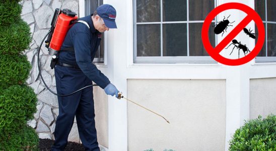 Hanak Gümüşkurt İlaçlama böcek ilaçlama ve haşere kontrolü — ilaclama-tr.com